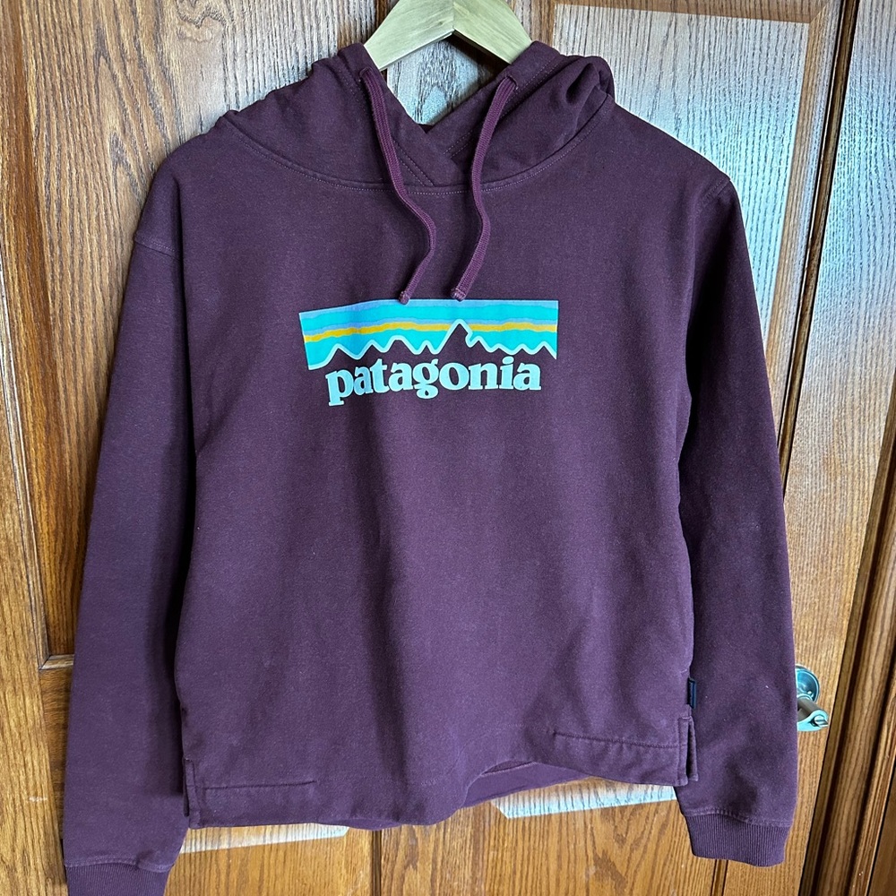 Womens Patagonia Hooded Sweatshirt